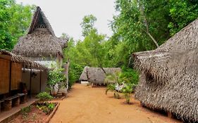 Nebula Nest Cafe & Hostel